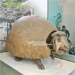 Gliptodon skeleti