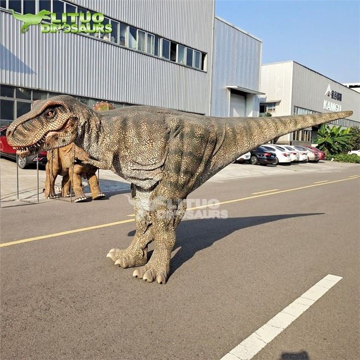 2Dino costume T Rex Costume(001)