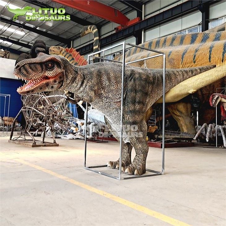 3Costume T rex(001)